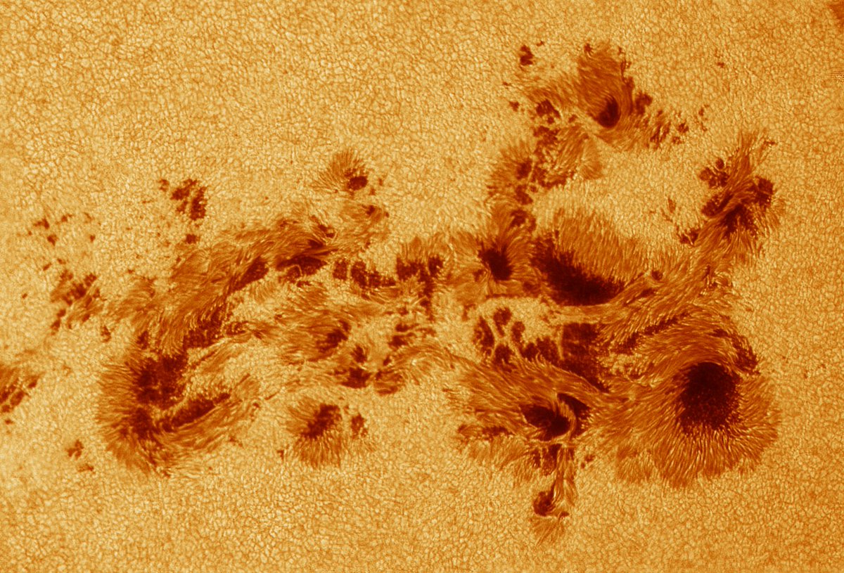 An ultra close-up shot of sunspot region 3664 this morning with my 16' scope under great conditions.
This region is so big it's visible to the unaided eye (with eclipse glasses of course!)
#sun #telescope #astrophotography