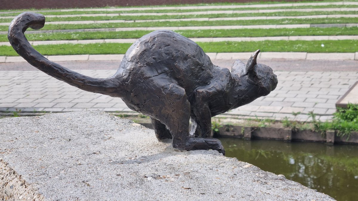 'Kat' - Arno Oberendorff  Carat-Paviljoen Stadspark de Warande #Helmond @omroepbrabant @ed_regio @DitisHelmond @ditisonzewijknl #kat #beeld #Helmond #cat #catstown #sculpture #art 📷: Willem J. Bod