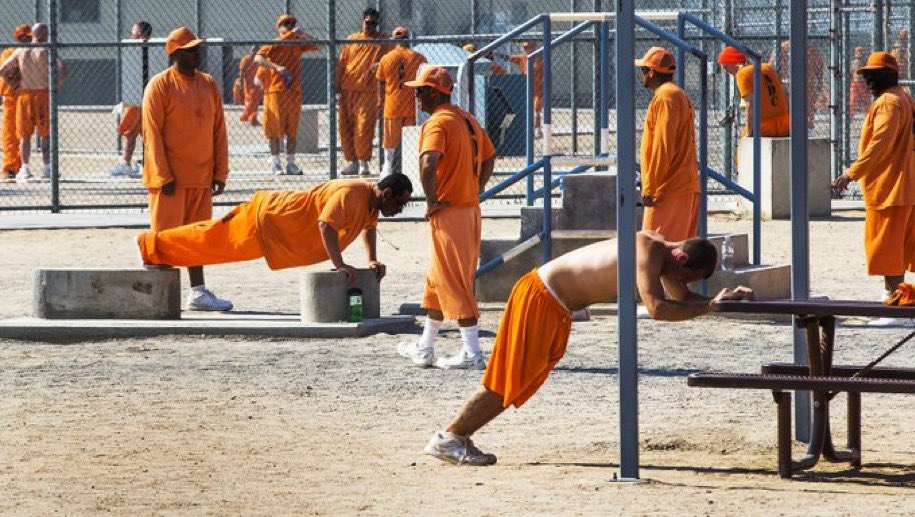 The modern curse is not learning the lesson from the situation you’re in 5 ideals I picked up from watching inmates work out These will work outside of prison too
