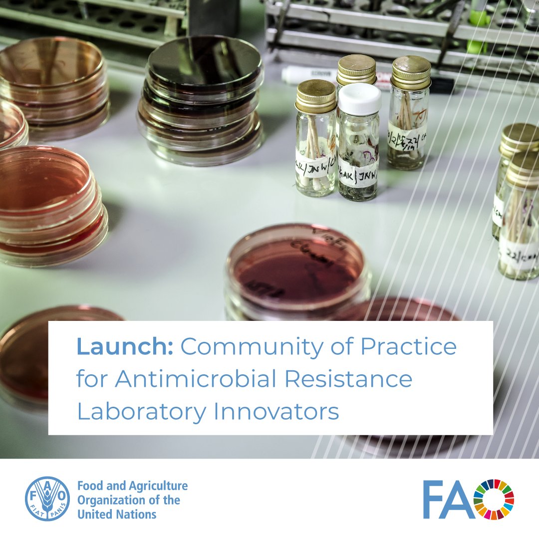 Join us for the launch of a new Community of Practice for antimicrobial resistance laboratory innovators Register here👉 shorturl.at/eHRTW #AMR