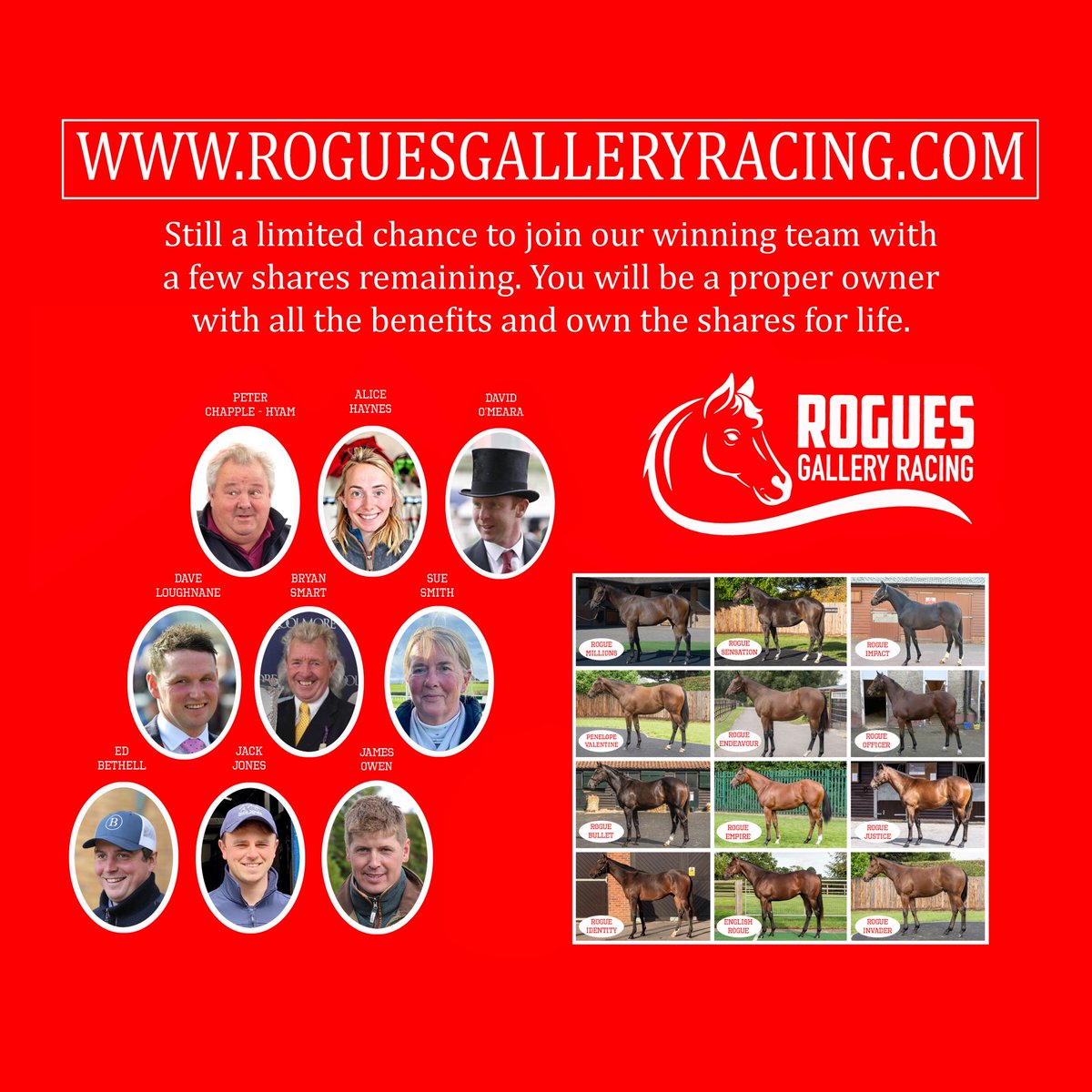 Join the best value syndicate and our top team of trainers as we look to improve on our record breaking season! @ChappleHyam @suesmithracing @JPOwenRacing @omeararacing @JackJonesRacing @DaveLoughnane_ @BryanSmartRacin @ebethellracing @ahaynesracing