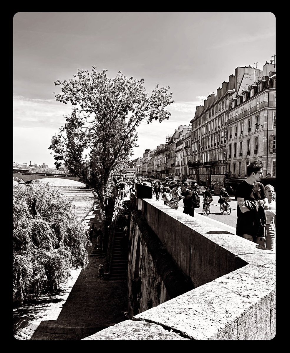 Les promeneurs du Quai Voltaire,