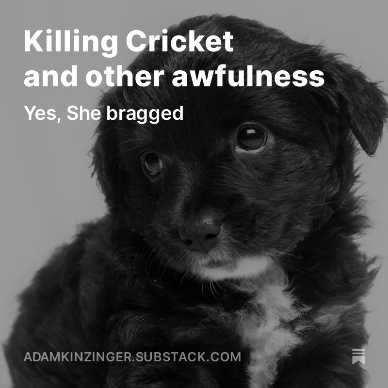I’m still flabbergasted that @KristiNoem shot her dog and goat, and bragged about it. My latest on her awfulness: adamkinzinger.substack.com/p/killing-cric…