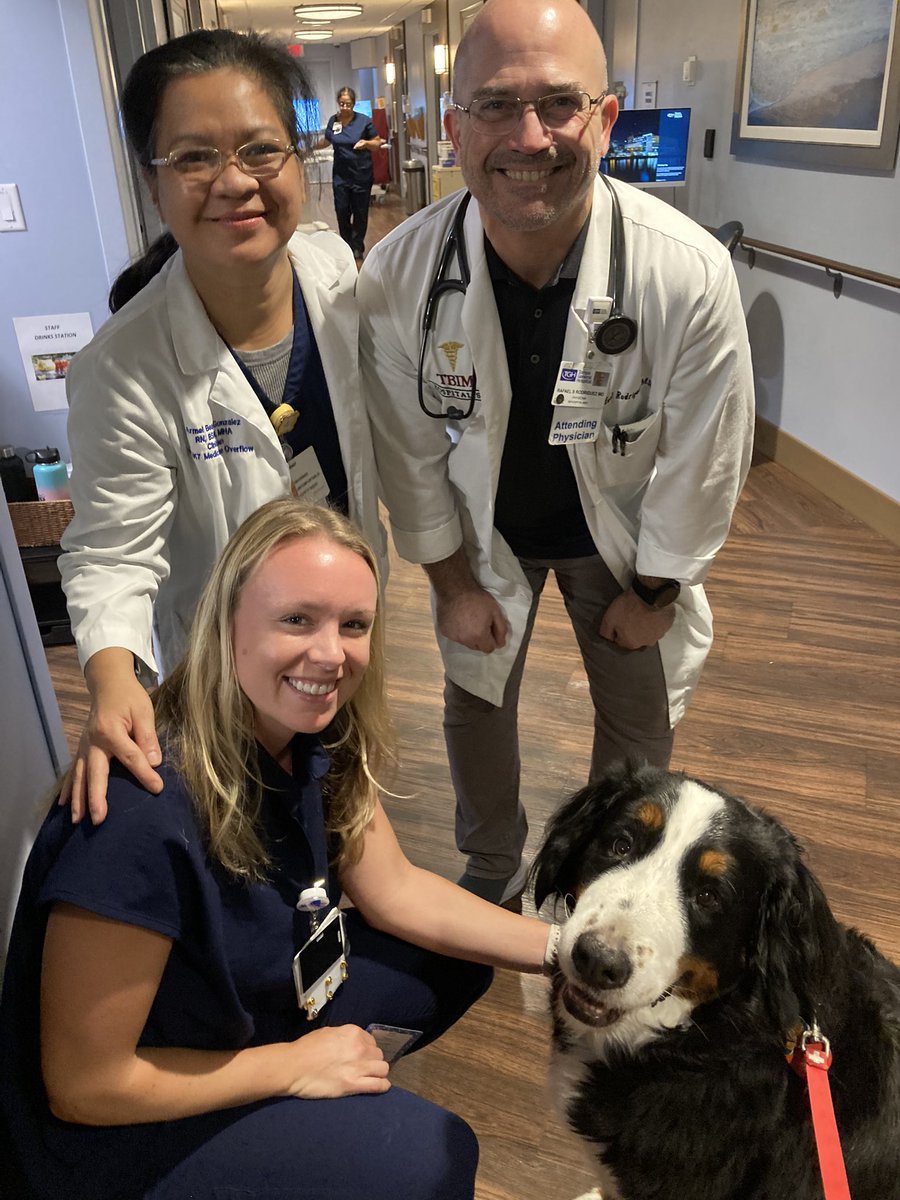 Stella had another great morning visiting @TGHCares today! @TBLightning #bernesemountaindog