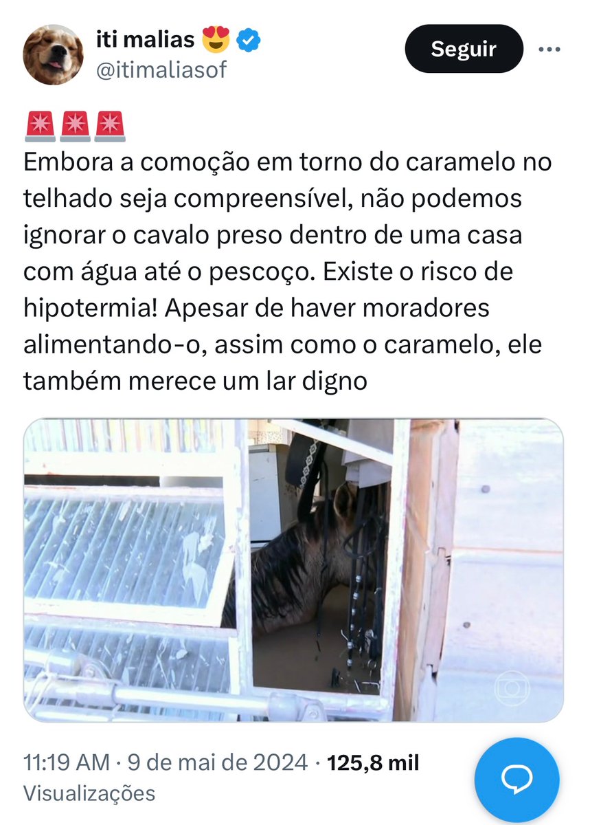 fcm_monteiro's tweet photo. @felipeneto @felipeneto tb temos esse aqui precisando de ajuda. https://t.co/plJvadUQYg