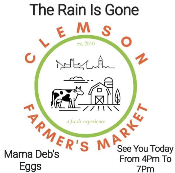 MsUrbanParadise's tweet photo. THE ALL CLEAR WAS GIVEN...SO COME OUT AND ENJOY THE VENDORS TODAY!!! URBAN PARADISE HOMESTEAD MAMA DEB’S EGGS WILL BE THERE... https://t.co/wyXnW7CL0Z