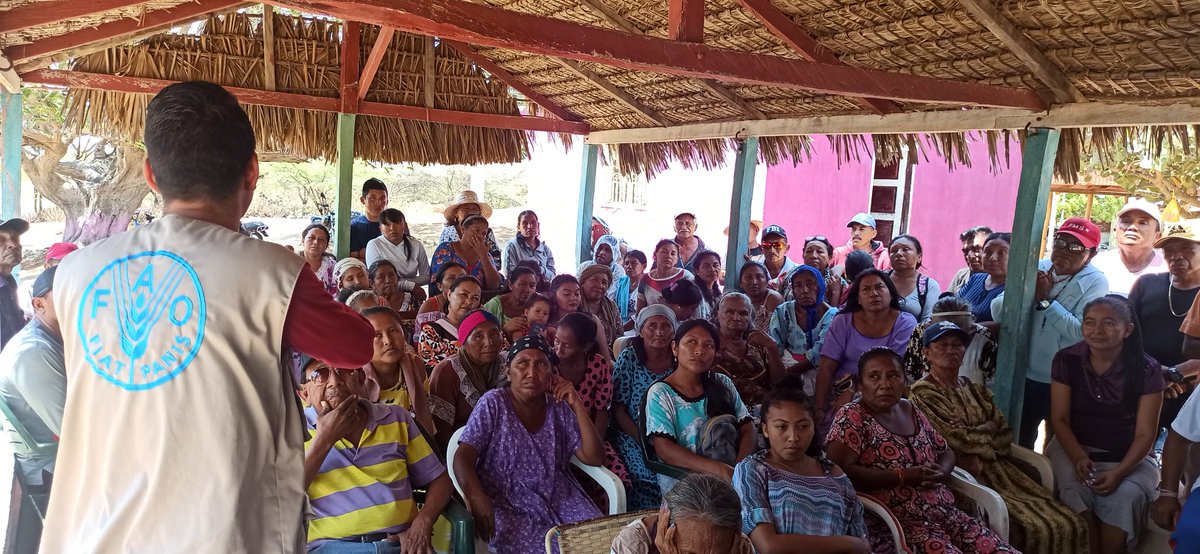 FAO VENEZUELA tweet media