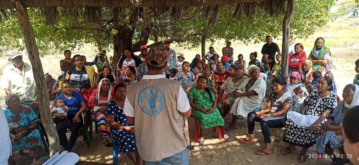 FAO VENEZUELA tweet media