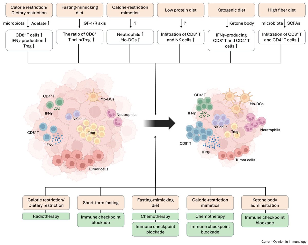 New review from the lab led by <a href="/jmingeum/">Mingeum Jeong</a> on how diet impacts anti-tumor immunity
sciencedirect.com/science/articl…