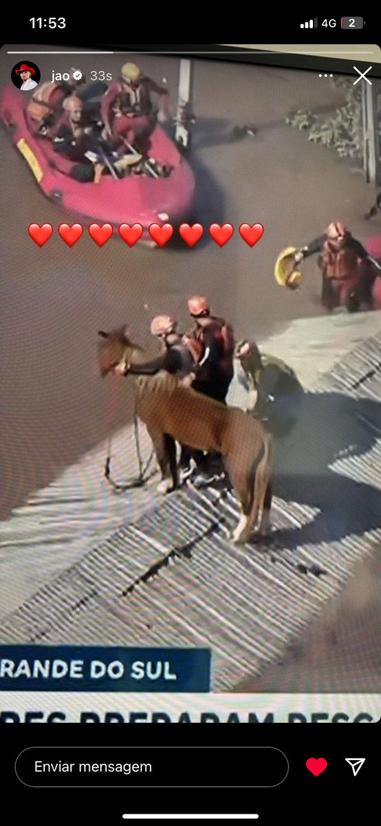 o jao engual a gente acompanhando o resgate do cavalo