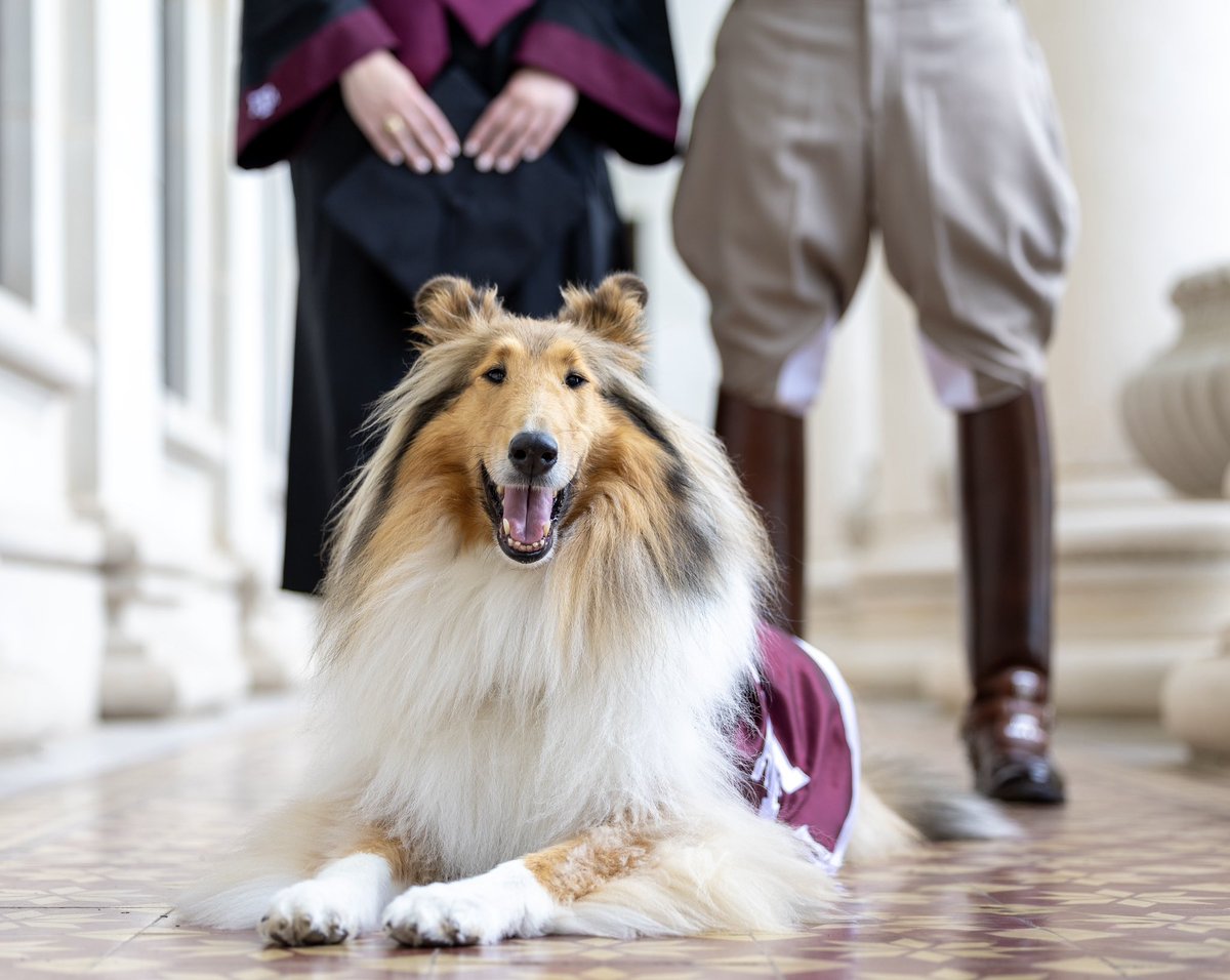 HAPPY GRADUATION DAY, MY AGGIES!!! 🎓🐾