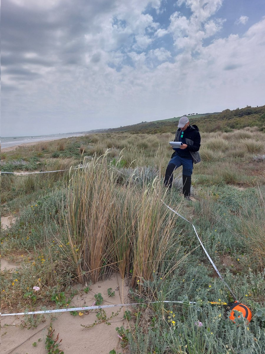 LuciaSantoianni's tweet photo. Annual monitoring of the @lteritaly permanent plots, Foce Trigno - Marina di Petacciato site. 
Stay tuned for updates on our coastal ecosystems! 🌊 #LTERItaly #CoastalMonitoring #EnviXLab #biodiversity https://t.co/KPk6990tvJ