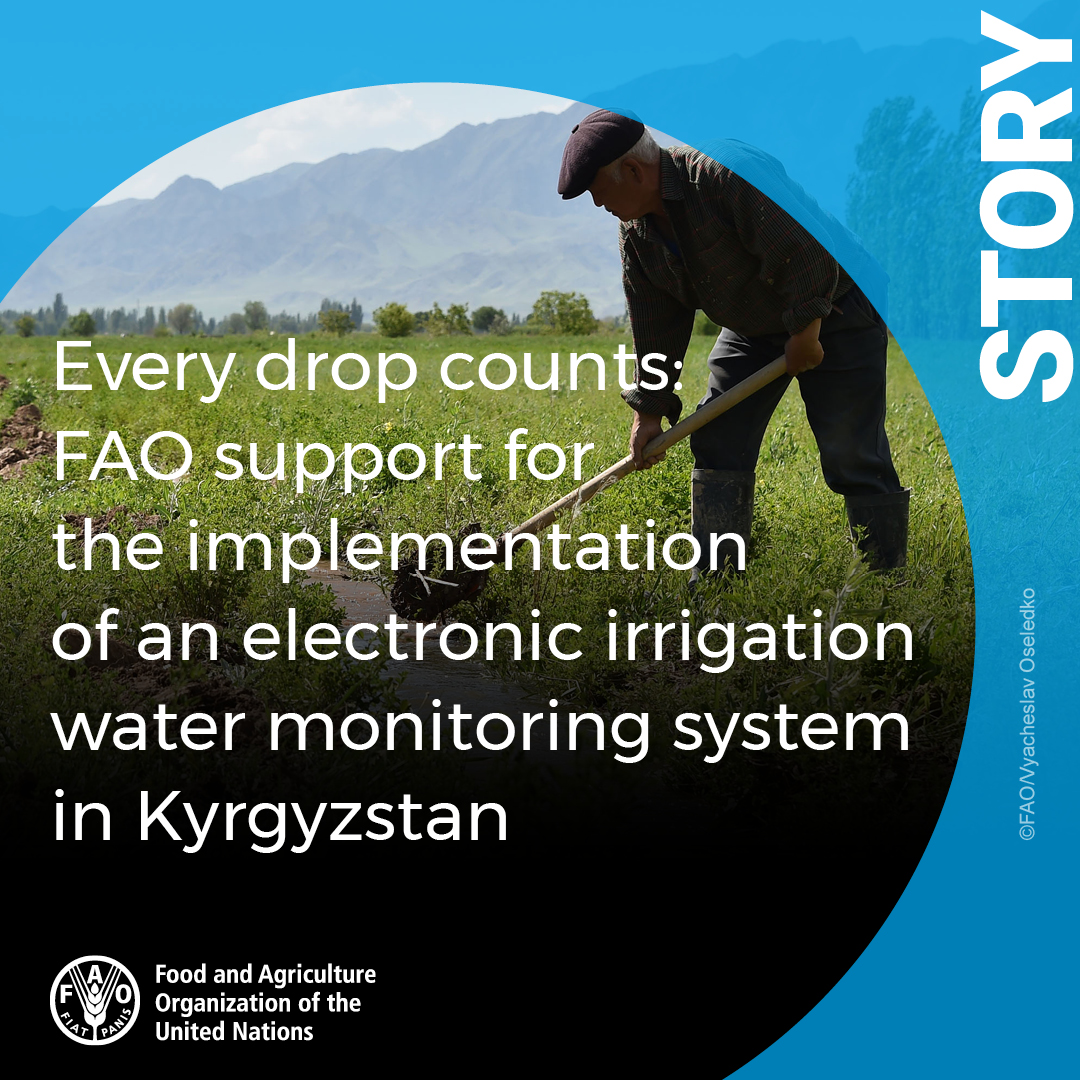 Leading up to #ERC34, find out how @FAO is supporting projects in Kyrgyzstan 🇰🇬 that address water scarcity and help villagers use water judiciously using innovative technologies. 👉bit.ly/3ykrpGC #AgInnovation #WaterAction