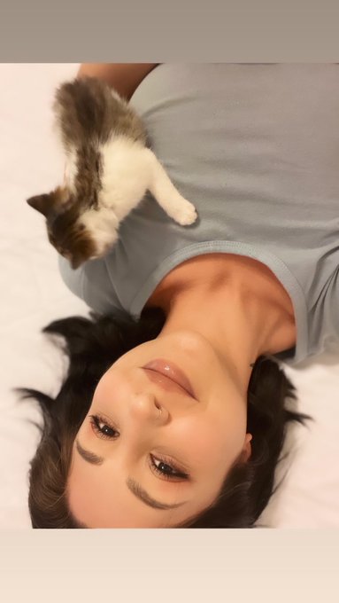 Found 5 of these little nuggets in an abandoned building https://t.co/WB14JLfZKv