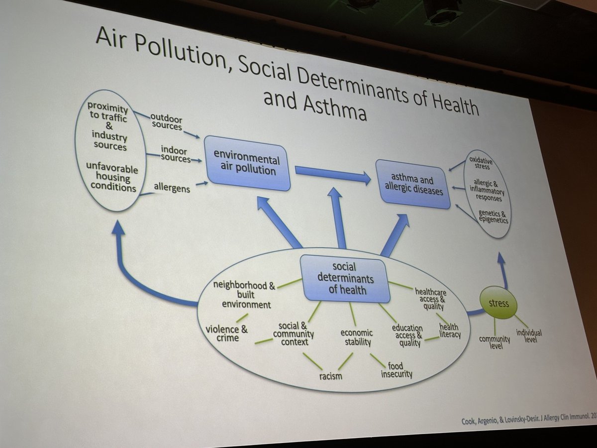 JuanCCeledonMD's tweet photo. A true pleasure+ a privilege to have @slovinskydesir as our speaker for @PittPediatrics Grand Rounds for #WorldAsthmaDay. A wonderful lecture on her important+ inspiring research+ advocacy to eliminate health disparities in asthma. @ATS_Assemblies #HealthEquity #LeadershipMatters https://t.co/ksPbCu6kRl