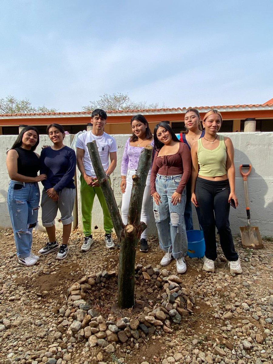 utvco's tweet photo. En la #UTVCO estamos comprometidos con el cuidado del planeta 🌎💚
🌳Las y los estudiantes de las carreras de Desarrollo de Negocios, y Diseño y Moda Industrial, realizaron una reforestación como evaluación de tutorías. Tuvo como objetivo el cuidado y conservación del ambiente🌳 https://t.co/q3VvoZV84K