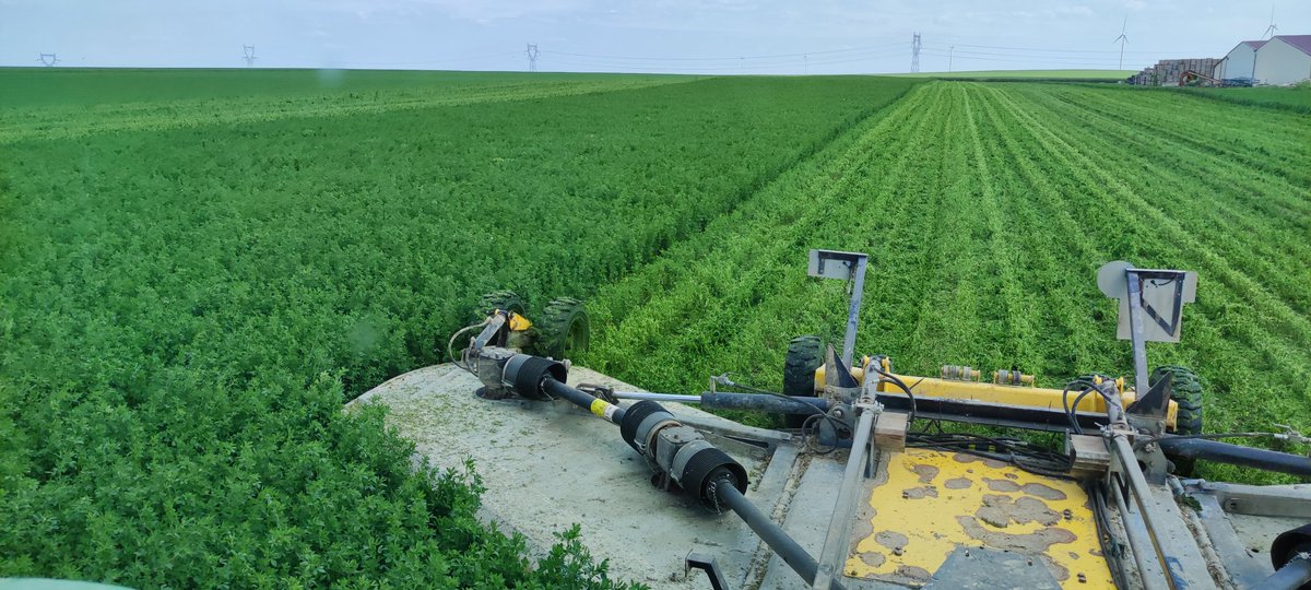 pierrot8042's tweet photo. En ce beau jeudi de l'Ascension, pré -coupe de la luzerne porte graines dans l Aube. @LaFNAMS #diversité #agriculture https://t.co/X8UnqtIaOc
