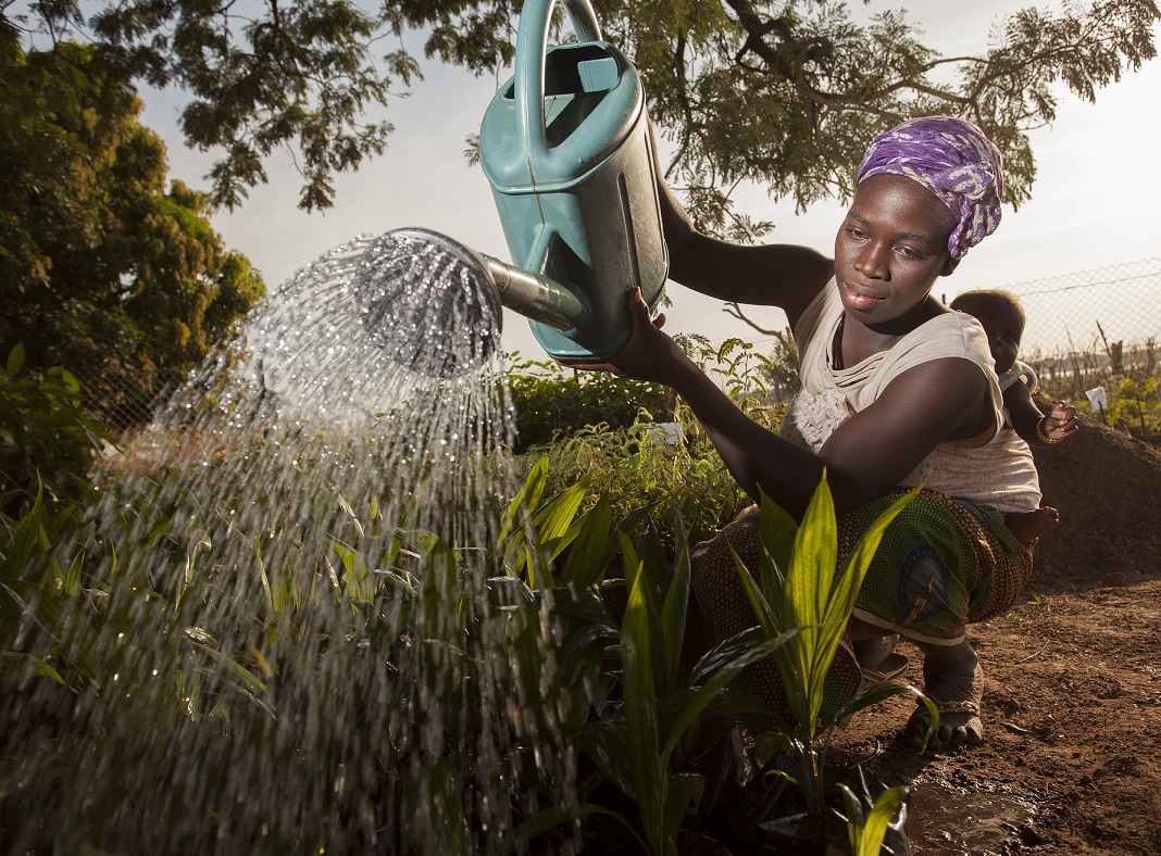 95% of the food we eat comes from our soils. Soil health–including efficient use of fertilizer–is a key component, sitting at the crossroads of both food & climate. Learn more about how healthy soil contributes to #foodsecurity & #climate resilience: feedthefuture.gov/article/the-di…