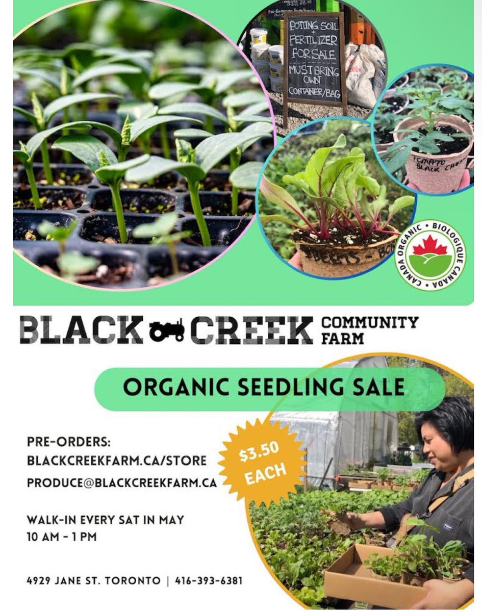 Get ready to grow your garden! Join @BCCFarm every Saturday in May at Black & Creek Community Farm for organic seedling sale. Pre-order online or walk in to pick up yours! 🌱🌻 #OrganicGardening #SeedlingSale