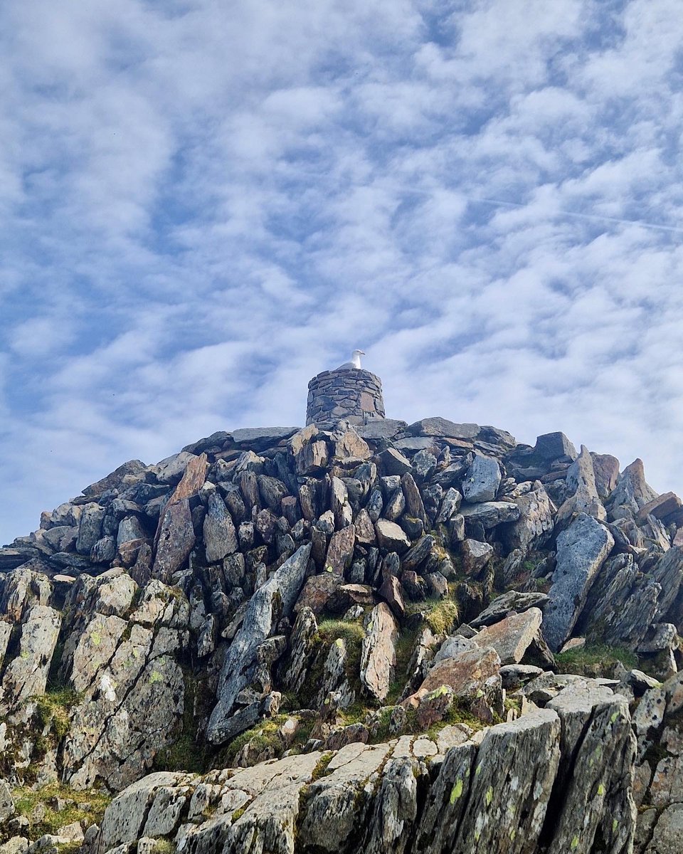 This afternoon at the summit 😍

#Sunshine #Eryri #Snowdonia #YrWyddfa #Snowdon #HeatWave #WalesAdventure #NorthWales #Seagul