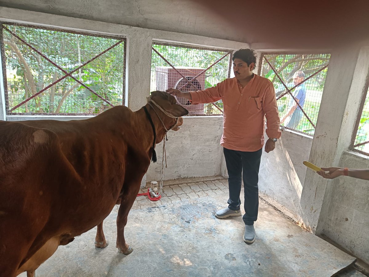 drsuniljogi's tweet photo. गौ सेवा परमेश्वर सेवा ||
#gaurakshak #hindu #dogauseva #shrisumangalagaushala #feedcows #doanteforcows #radheradhe #prernamurti #hinduism #dharma #sanatandharma #milk #a #gauvansh #cowshelter #goshala #harerama #desicow #radharani #harekrishna #savecowsandcalves https://t.co/8NcvpDfARr