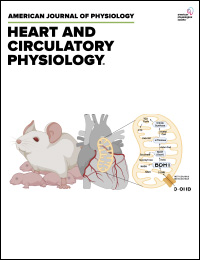 #ArtriclesInPress: Modeling heart failure with preserved ejection fraction in female mice: an elusive target Taben M. Hale and Erik A. Blackwood ow.ly/GQGM50RAkrN @erik_blackwood @TMHalePhD @uarizona #female #mousemodel ow.ly/gw0v50RAkrM