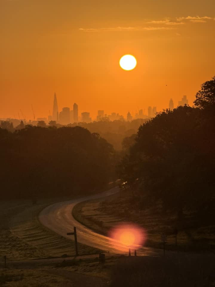 We're celebrating National Walking Month with our #Richmond Routes competition! Take pictures on your favourite routes and send them to us to stand a chance of winning great prizes 📸 Mick's entry comes from his early morning stroll in Richmond Park! ℹ️ orlo.uk/WaVEm