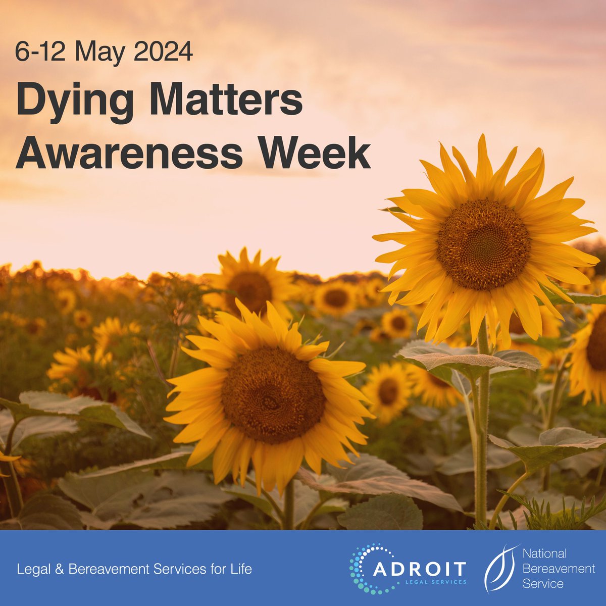 🌻 Dying Matters Awareness Week 2024

NBS adviser Anne Wadey has compiled a quick guide in support of Dying Matters Awareness Week, with helpful guidance on having healthy conversations with recently bereaved people such as friends or colleagues.

📖buff.ly/4bybB1h