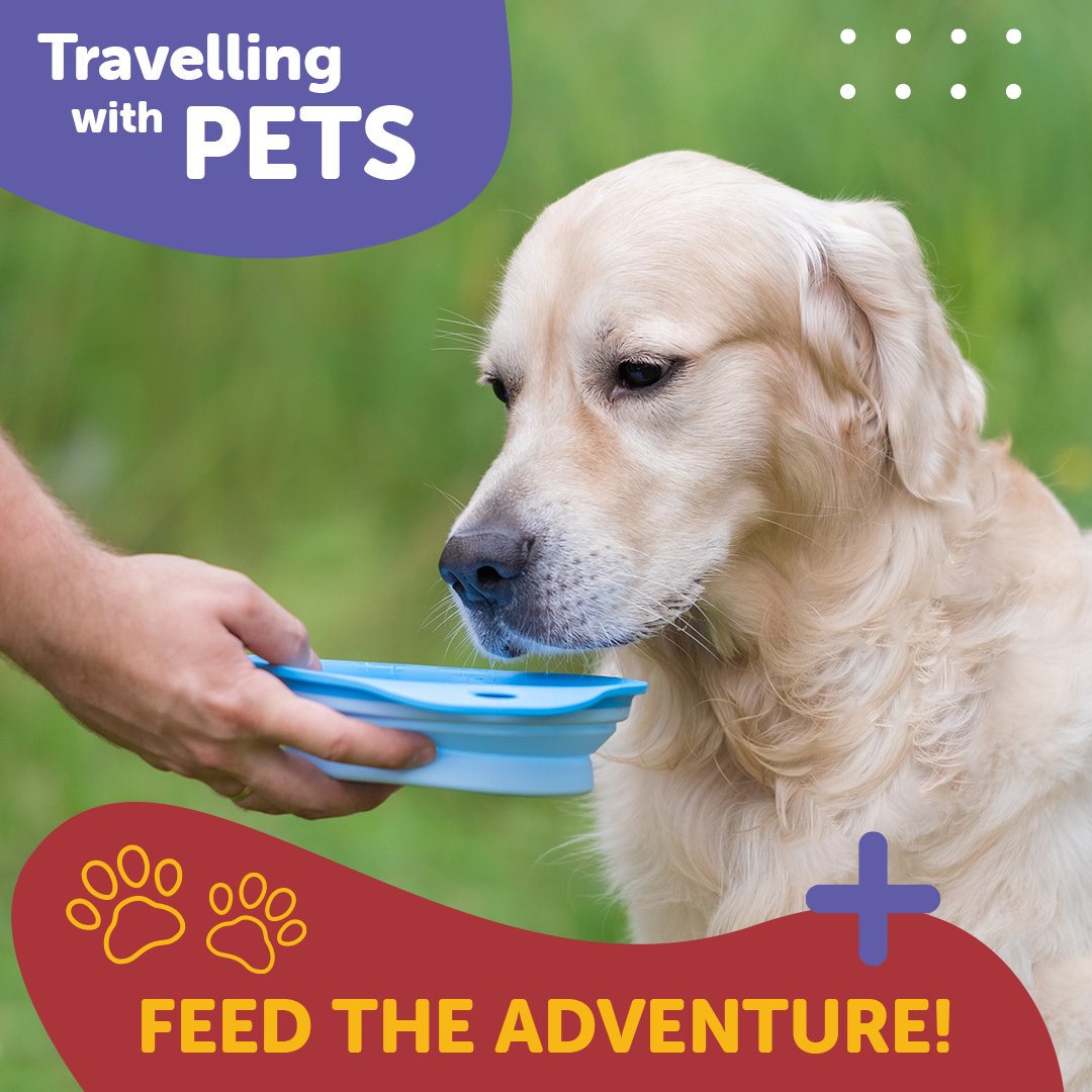 🚗 Don't let hunger or thirst ruin your furry friend's trip. Our convenient and durable bowls keep them fueled and hydrated on the go. With dry, dehydrated, and freeze-dried options, your pet gets the best nutrition wherever you roam!🐶🐱 

#TravelWithPets #FeedtheAdventure
