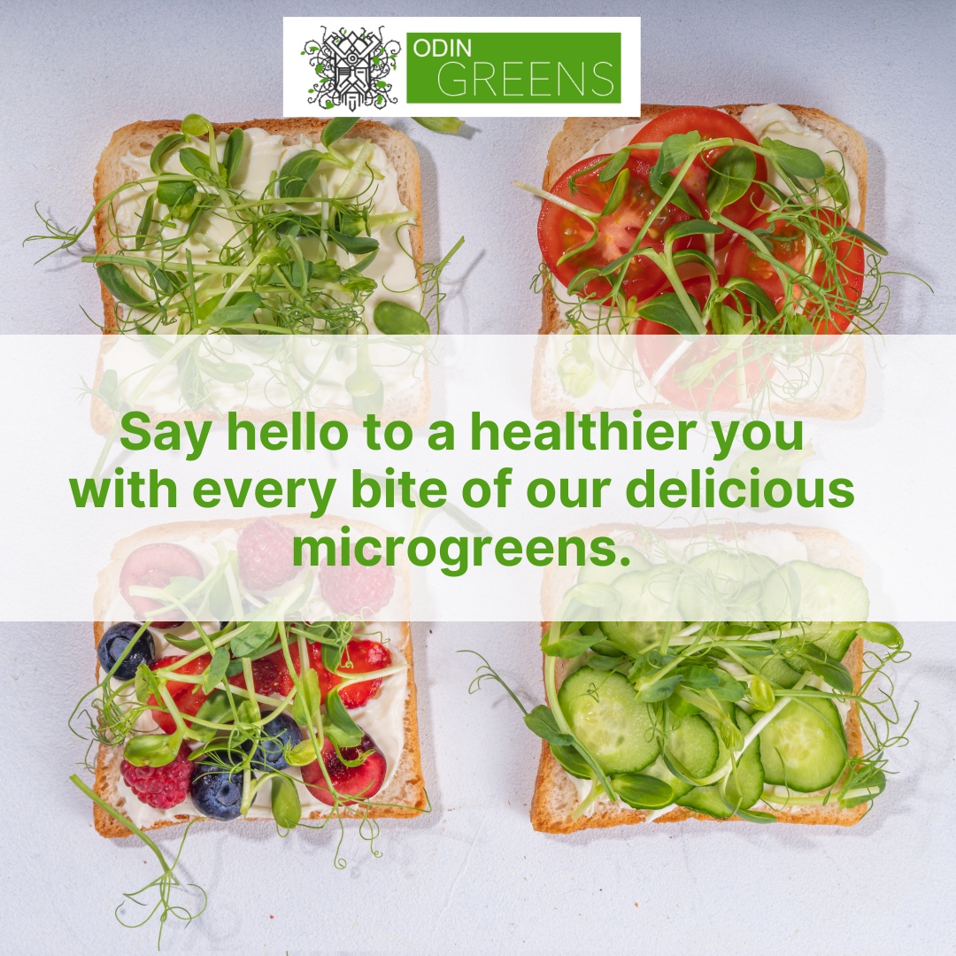 Say hello to a healthier you with every bite of our delicious microgreens. 

Transform your health and indulge in the goodness of our microgreens today! 🌱

#nutritionblogger #igweightloss #nutritionplan #nutritional #nutritionfacts #nutritionalcleansing