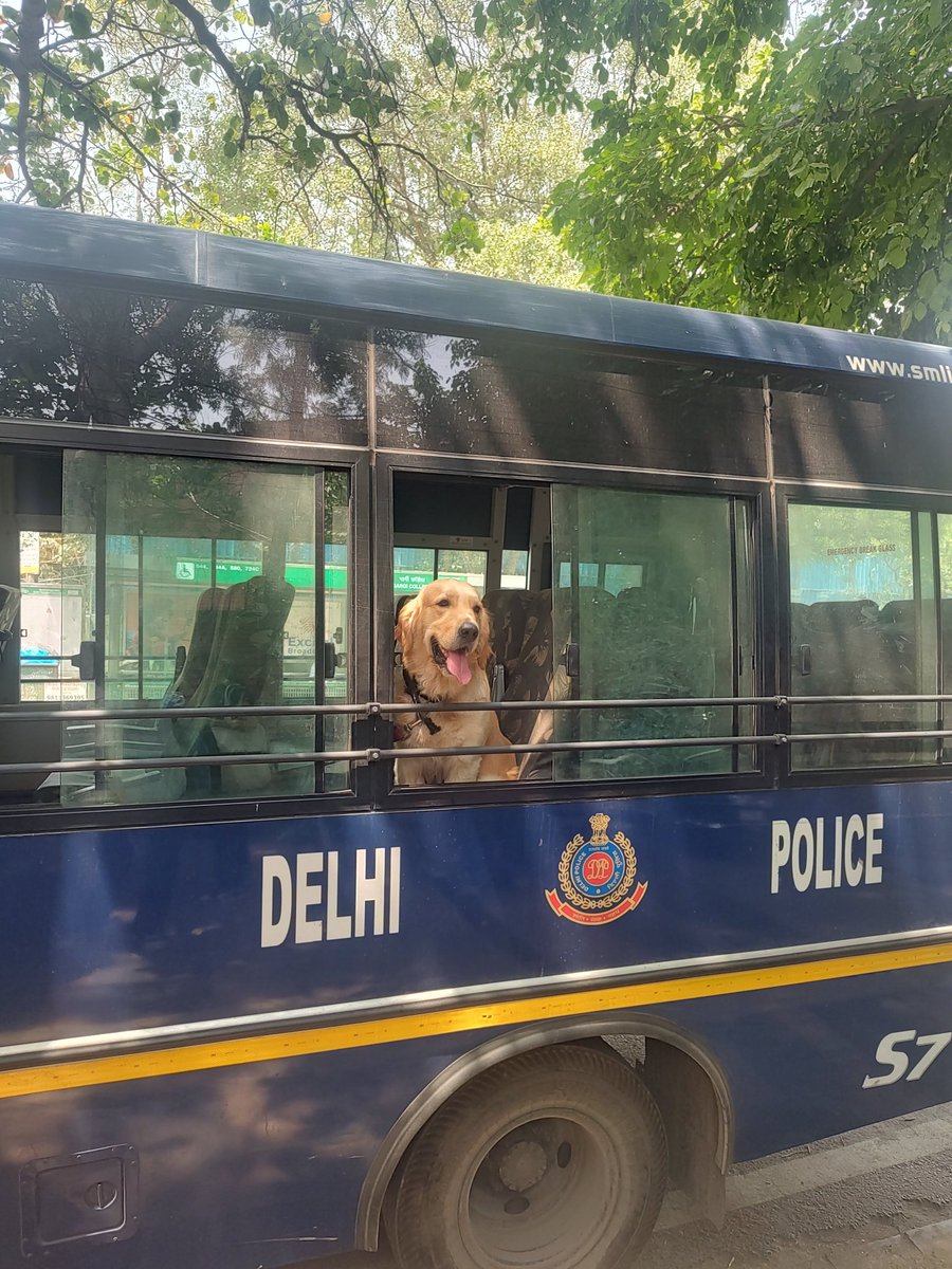 People are connecting this image to #ArvindKejriwal and claiming that it is a photograph of him being arrested by police. I'm sorry, my friend. In contrast to #ArvindKejriwal, the animal depicted in the image is honest and loyal.