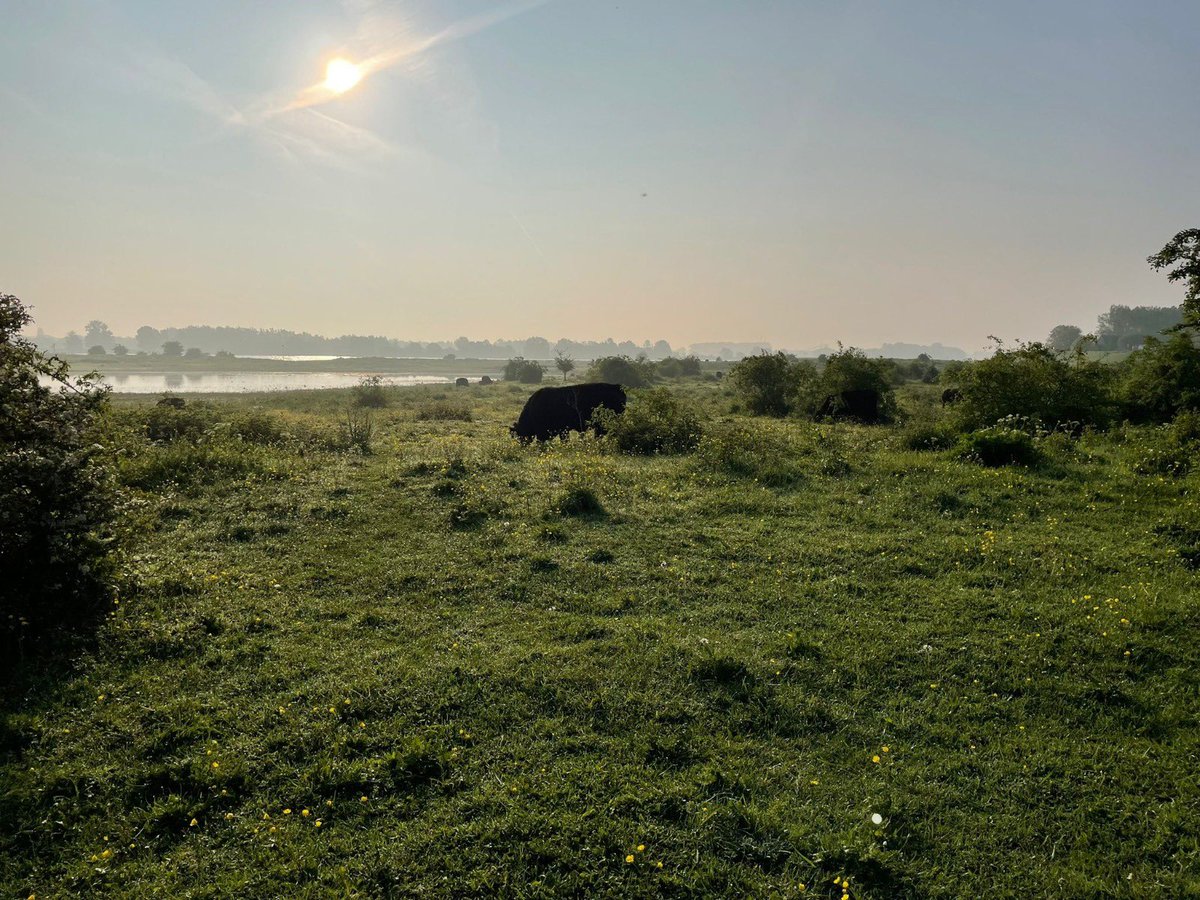 KarinDietist's tweet image. Dauwtrappen in de Ooijpolder, blijft zo’n mooi gebied!
#diëtist #Nijmegen #dauwtrappen #wandelen #Ooijpolder