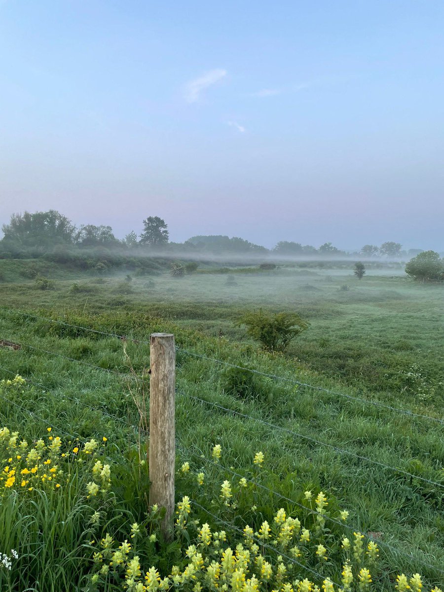 KarinDietist's tweet image. Dauwtrappen in de Ooijpolder, blijft zo’n mooi gebied!
#diëtist #Nijmegen #dauwtrappen #wandelen #Ooijpolder