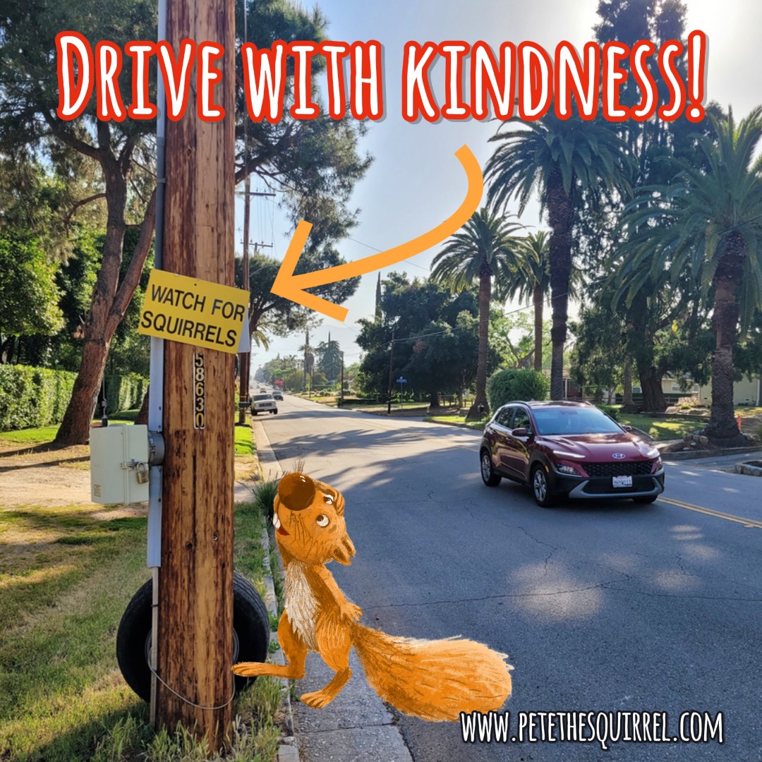 Drive with Kindness! Always A GREAT idea! #squirrels #childrensbook #bookstagram #lawofattraction #gratefuleveryday #abundance #animals #pets #love #petethesquirrel #kidsbook #childrensauthorsofinstagram #kidlit #read #readaloud #redlands #california