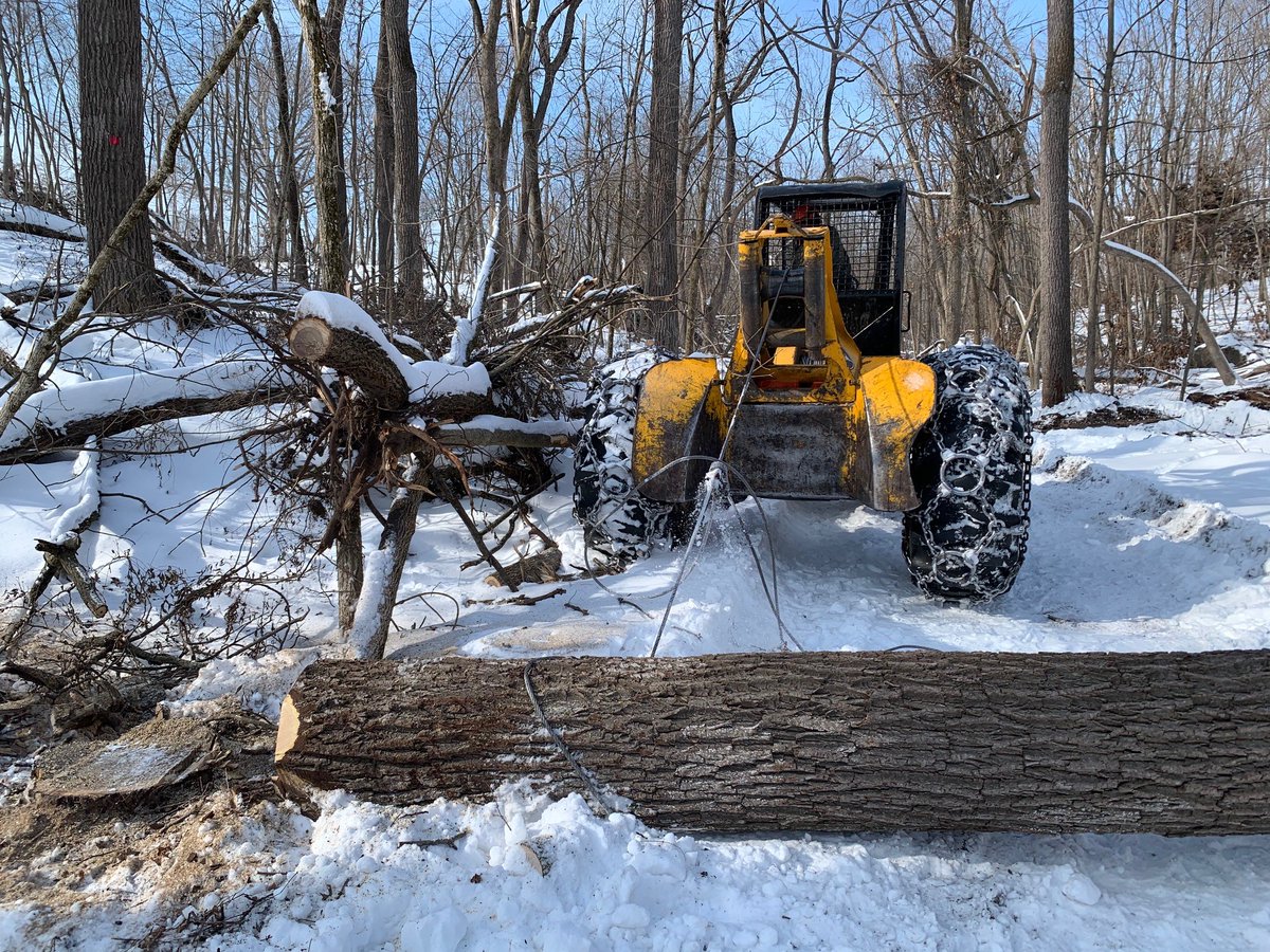 Landowners who are considering a timber sale can record their inventory and develop a contract by using two newly updated resources from Iowa State University Extension and Outreach. extension.iastate.edu/news/selling-t…