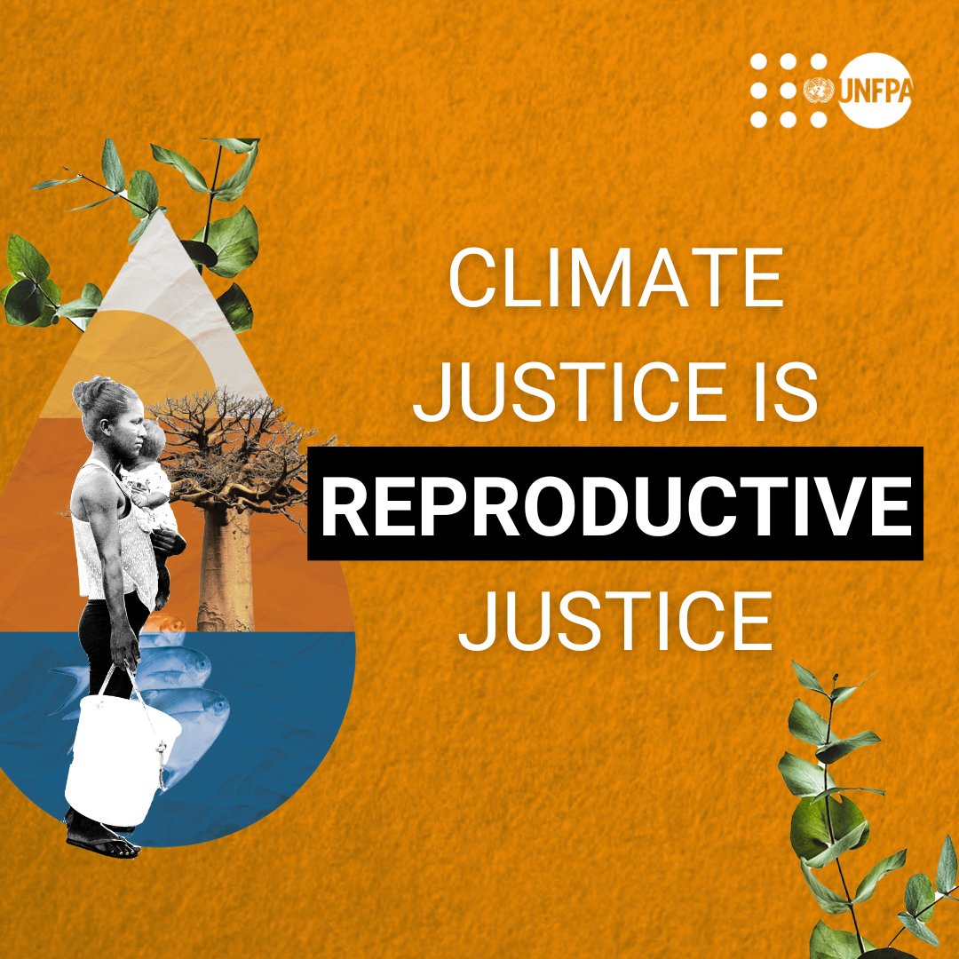 ⚡ Climate change impacts reproductive rights. #ClimateAction must include investment in the health, education and empowerment of women and girls. See how @UNFPA—the @UN sexual and reproductive health agency—is taking action: unf.pa/cc #OurCommonFuture #ICPD30