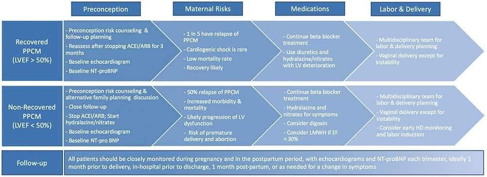 Peripartum Cardiomyopathy: Risks Diagnosis and Management #2023Review #OpenAccess

dovepress.com/peripartum-car…
#CardioEd #cardiomyophthy #cardiotwiteros #heartdisease