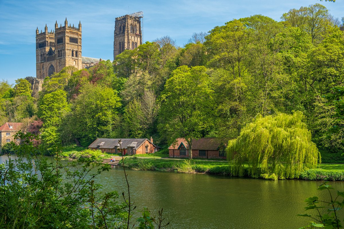 Good morning from glorious Durham 🍃