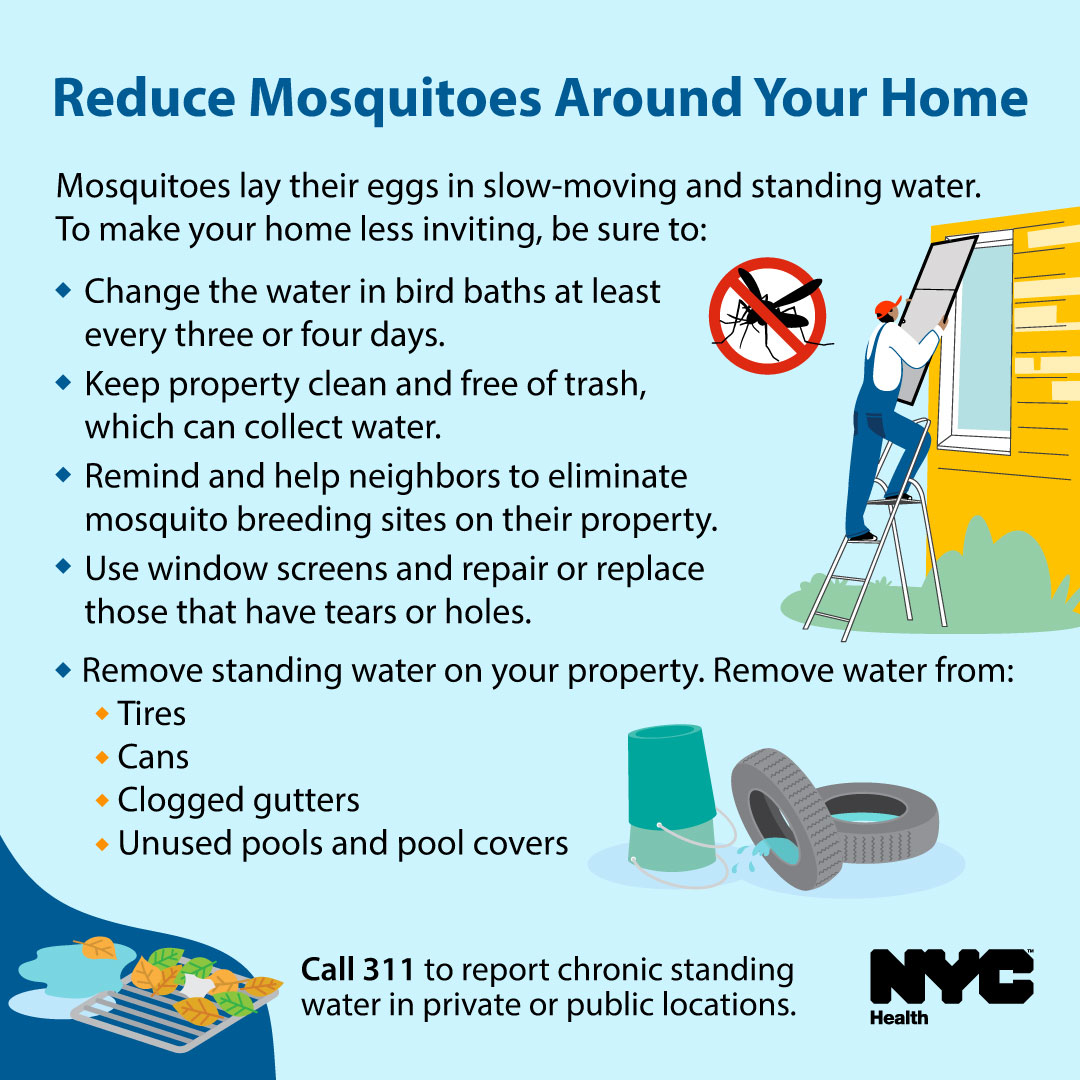New Yorkers: You can help prevent mosquitoes from breeding by removing standing water on your property. You can report standing water in private or public locations by calling @nyc311. Learn more: on.nyc.gov/mosquitoes