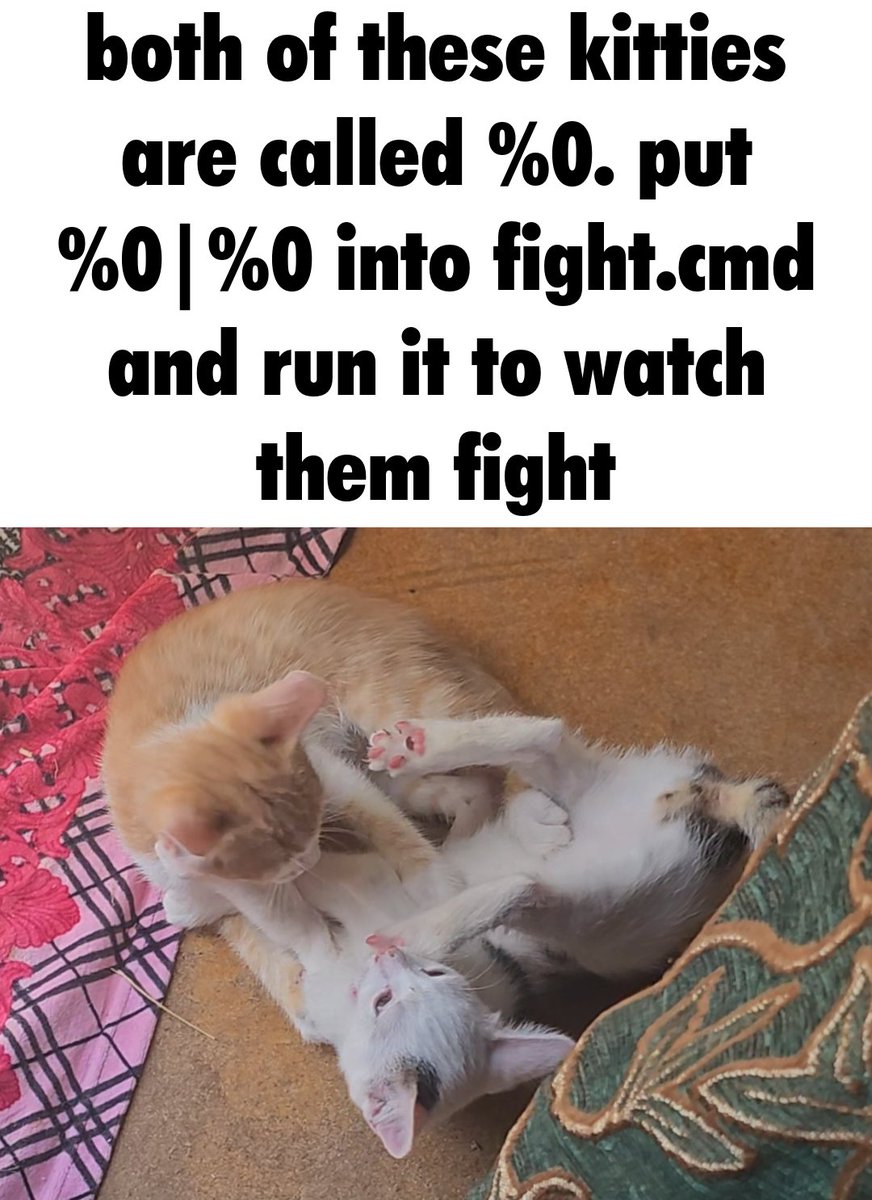 Enderman (@endermanch) on Twitter photo 