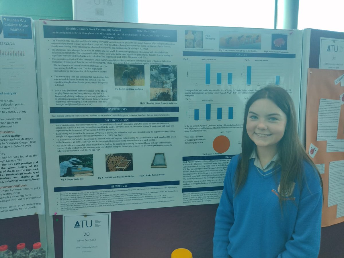Huge congratulations to Orliath Conners for winning the best overall project award at Scifest in ATU galway today. Her project 'mites be gone' showed the hygienic behaviour of native Irish honey bees. @SciFest4STEM @nihbs Fantastic project! So much work carried out, well done.