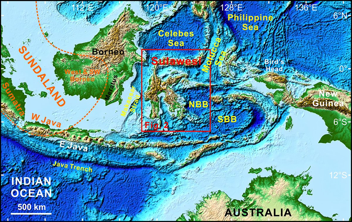 Mount Ruang #volcano in #Indonesia erupts. Read more about the region in #GSABulletin 'Mid-Cretaceous to early Eocene Neo-Tethyan subduction records in West Sulawesi, Indonesia' by Xiaoran Zhang et al. (doi.org/10.1130/B37038…) #Geoscience #GSAPubs