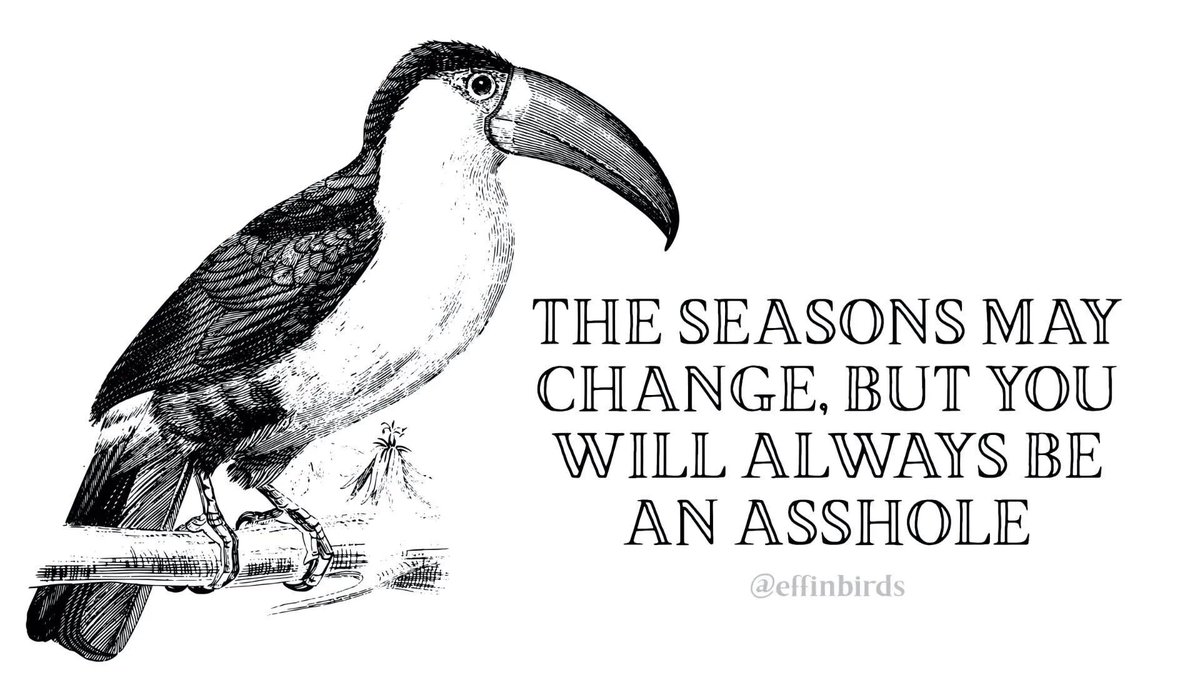 Effin' Birds (@EffinBirds) on Twitter photo 2024-05-09 15:14:07