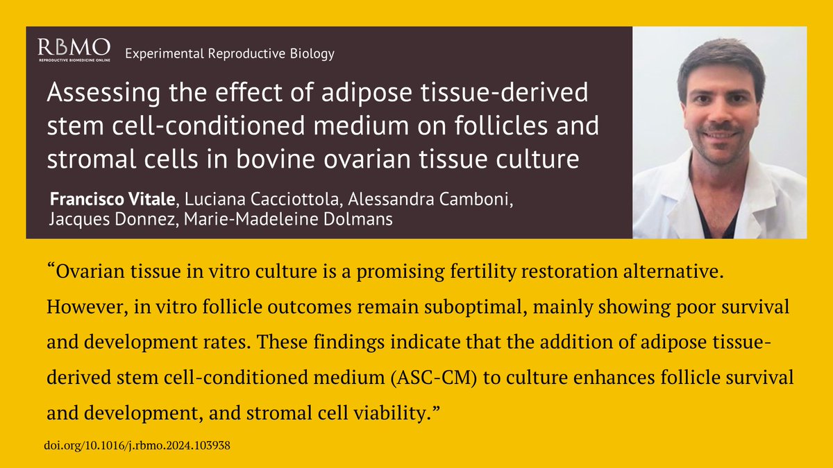 This study demonstrates that the addition of adipose tissue-derived stem cell-conditioned medium (ASC-CM) to bovine ovarian tissue IVC medium enhances follicle survival, development and oestradiol secretion, and promotes the viability of stromal cells. doi.org/10.1016/j.rbmo…