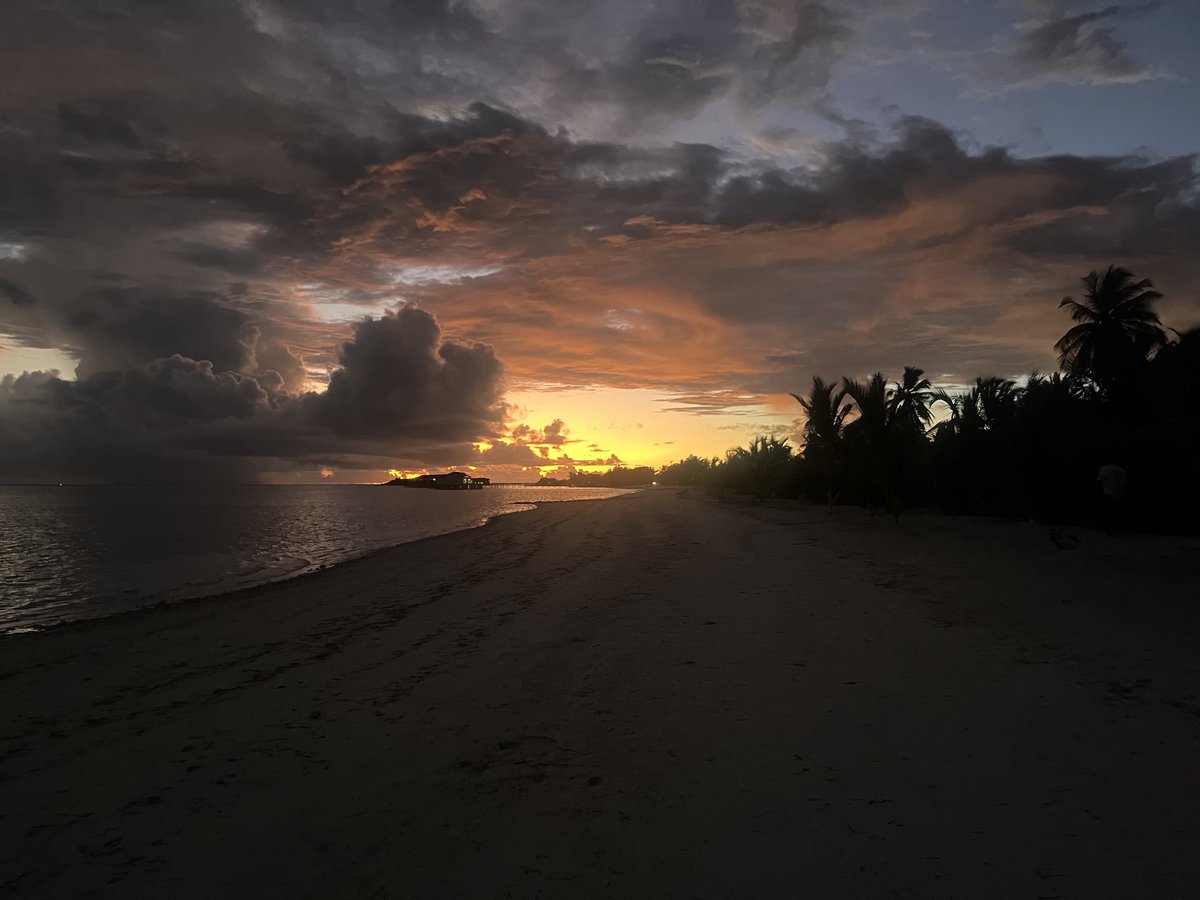 Darren Ryan tweet media