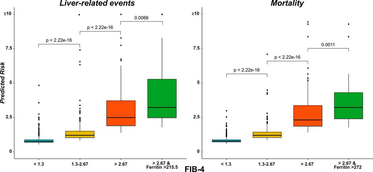 #GUTImages from the paper by @AngeloArmandi et al on 'Serum ferritin levels can predict long-term outcomes in patients with metabolic dysfunction-associated steatotic liver disease' via bit.ly/49y90Dd @DinaTiniakos @lucavalenti75 @lmiele74 @hanneshagstrom @mromerogomez
