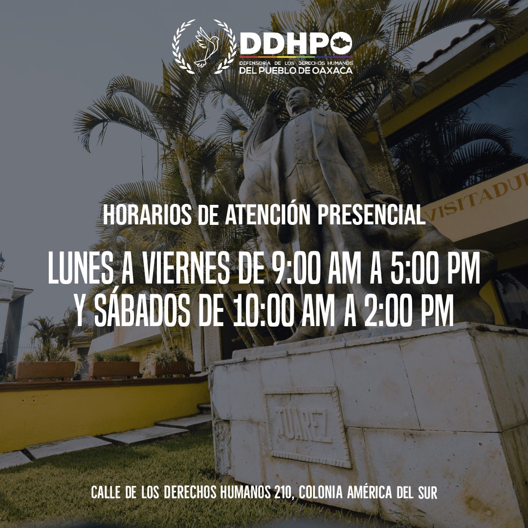 Te esperamos en nuestras oficinas de lunes a viernes de 9:00 am a 5:00 pm y sábados de 10:00 am a 2:00 pm. También puedes ponerte en contacto a nuestra línea disponible las 24 horas. 9511104298