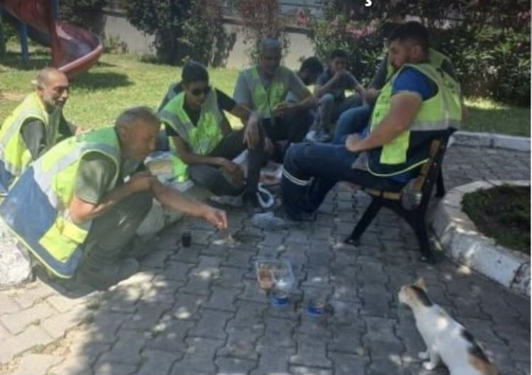 İzmir Narlıdere metro çalışanları öğle yemeklerini parktaki kedilerle paylaşıyormuş 🥰
