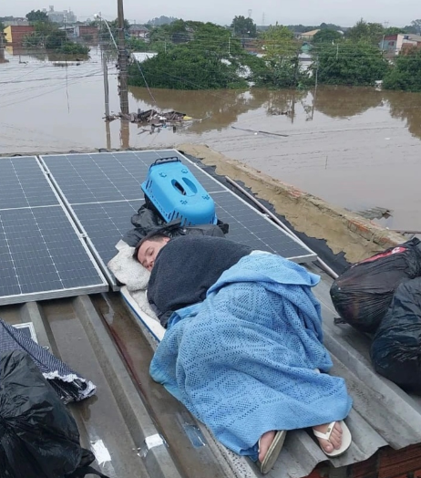 CmdtePaulo's tweet photo. Essa foto não consegue comover mais que a do cavalo, eu sei:

Reflita https://t.co/zjFVasFX0i