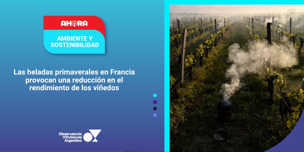 🔴 AHORA⎥ AMBIENTE Y SOSTENIBILIDAD
HELADAS PRIMAVERALES EN FRANCIA
observatoriova.com/ahora/las-hela…
Conocé todas nuestras alertas en 👉🏼 observatoriova.com/ahora/
#AhoraOVA #AmbienteySostenibilidad #Heladas #Francia